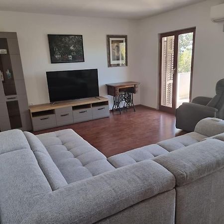 Apartman Flavio Skrbčići Dış mekan fotoğraf