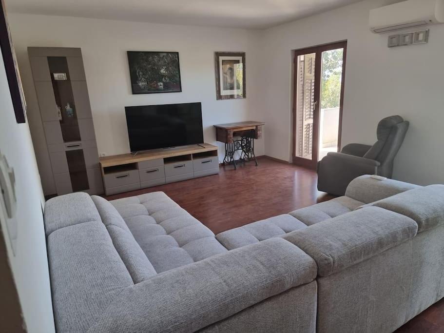 Apartman Flavio Skrbčići Dış mekan fotoğraf